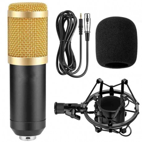 Επαγγελματικό πυκνωτικό μικρόφωνο BM800