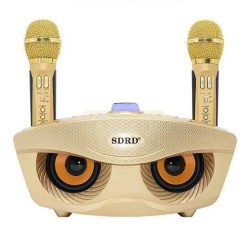 Σύστημα Karaoke με ασύρματα μικρόφωνα SDRD SD-306 Χρυσό