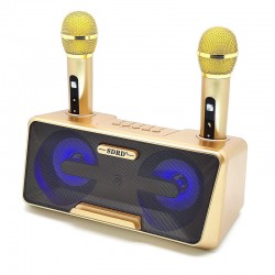 Σύστημα Karaoke με ασύρματα μικρόφωνα SDRD SD-301 Χρυσό