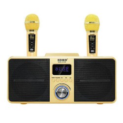 Σύστημα Karaoke με ασύρματα μικρόφωνα SDRD SD-309 Mαύρο
