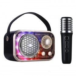 Ηχείο BT με ασύρματο μικρόφωνο karaoke SODO SD09