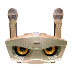 Σύστημα Karaoke με ασύρματα μικρόφωνα SDRD SD-306S Χρυσό