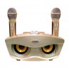 Σύστημα Karaoke με ασύρματα μικρόφωνα SDRD SD-306S Χρυσό
